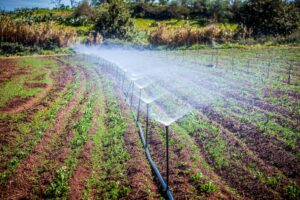 Importancia de la IA en la eficiencia hídrica agrícola