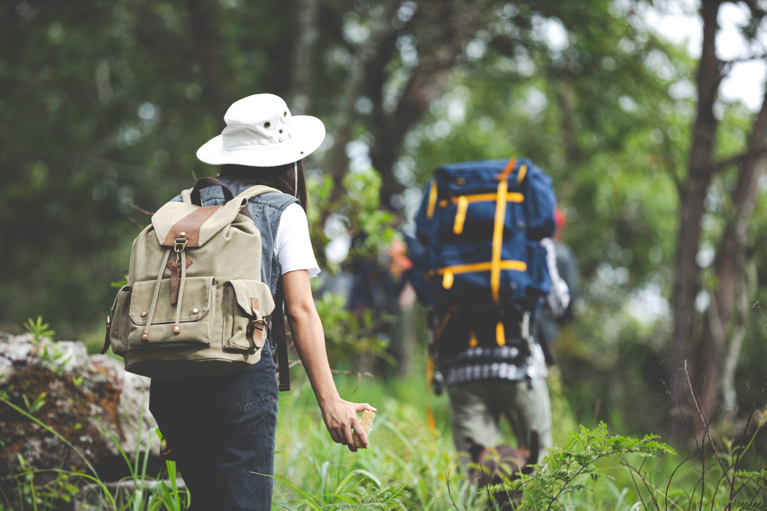 Capacidad de carga genera nuevos desafíos para el turismo sustentable